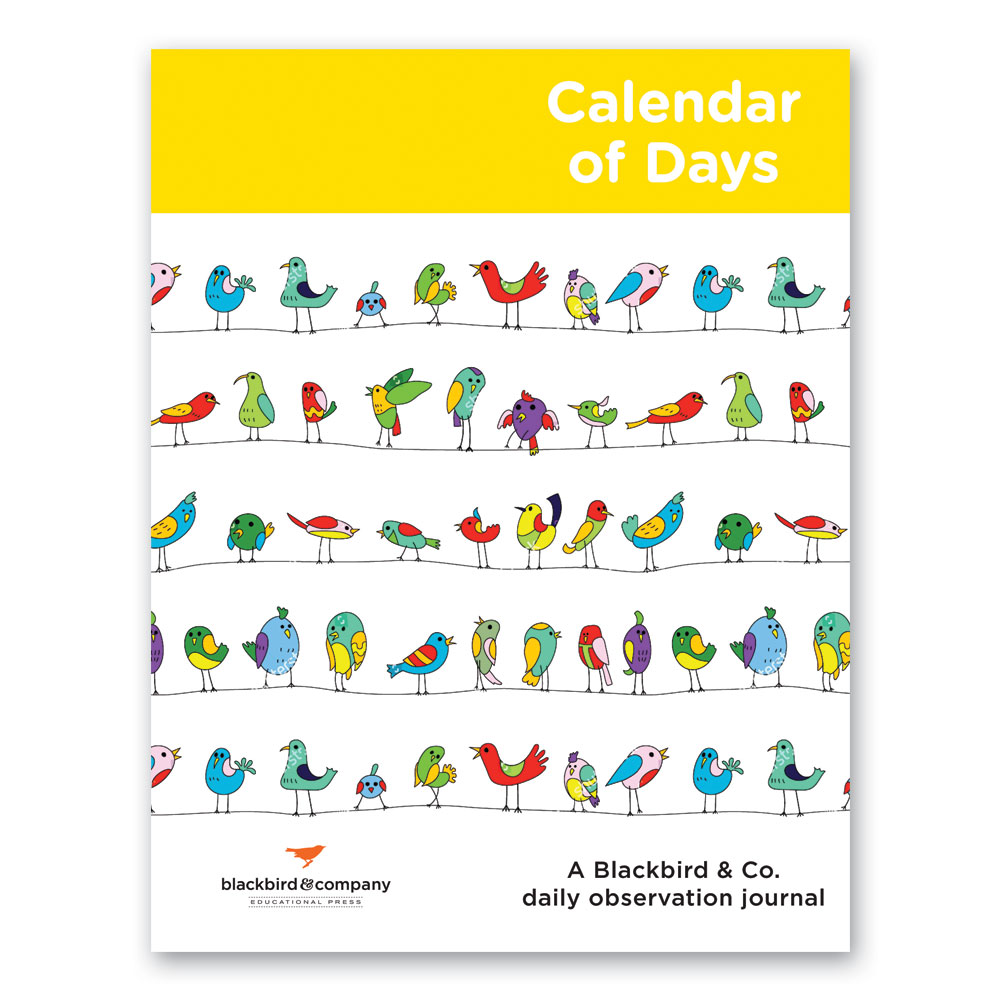 Calendar of Days: 2nd Grade - Bundle - Image 4