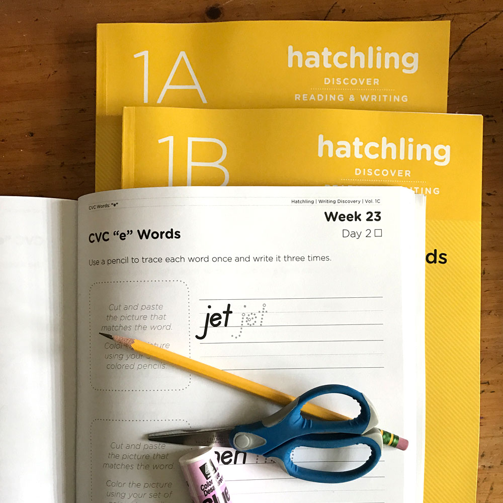 hatchling guides