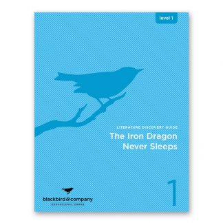 The Iron Dragon Never Sleeps - Guide