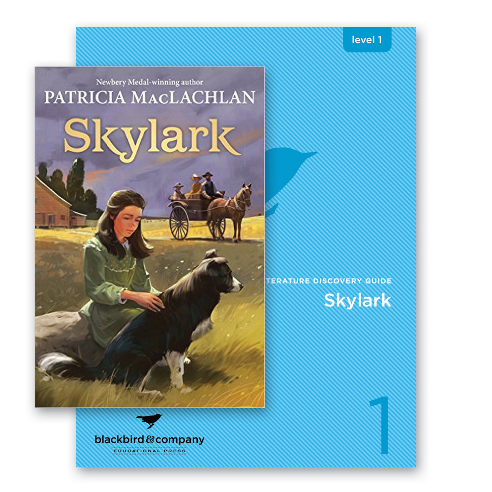 Level 1 Year-Pack "B" - Bundles - Image 6