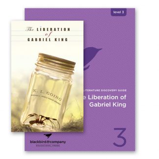 The Liberation of Gabriel King Bundle