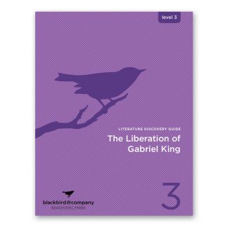 The Liberation of Gabriel King - Guide