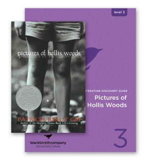 Pictures of Hollis Woods - Bundle