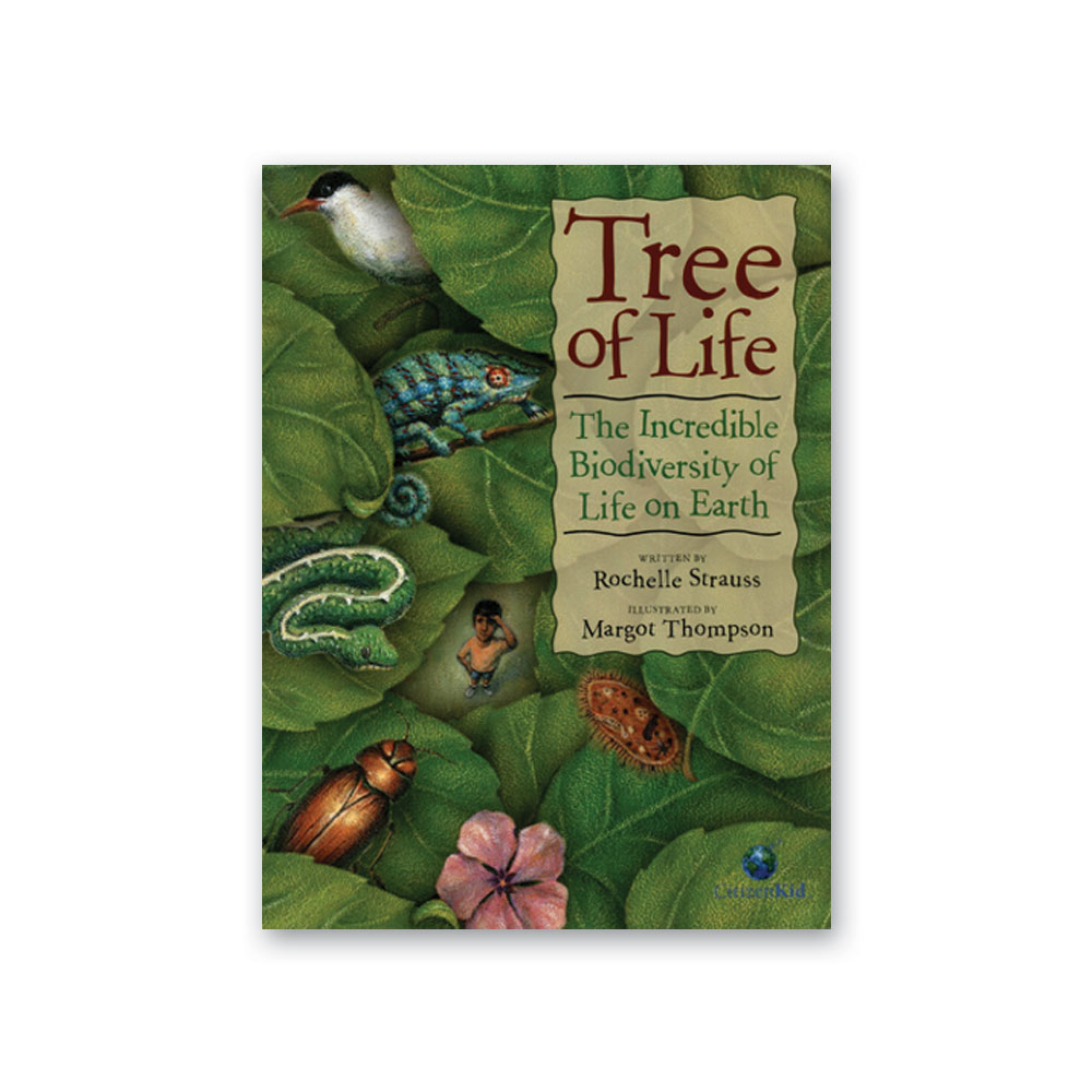 Taxonomy of Living Things: The Five Kingdoms - Bundle - Image 2