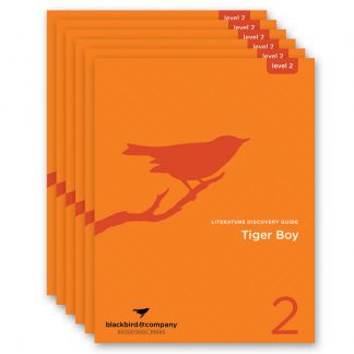 Level 2 Year-Pack "C" - Guides