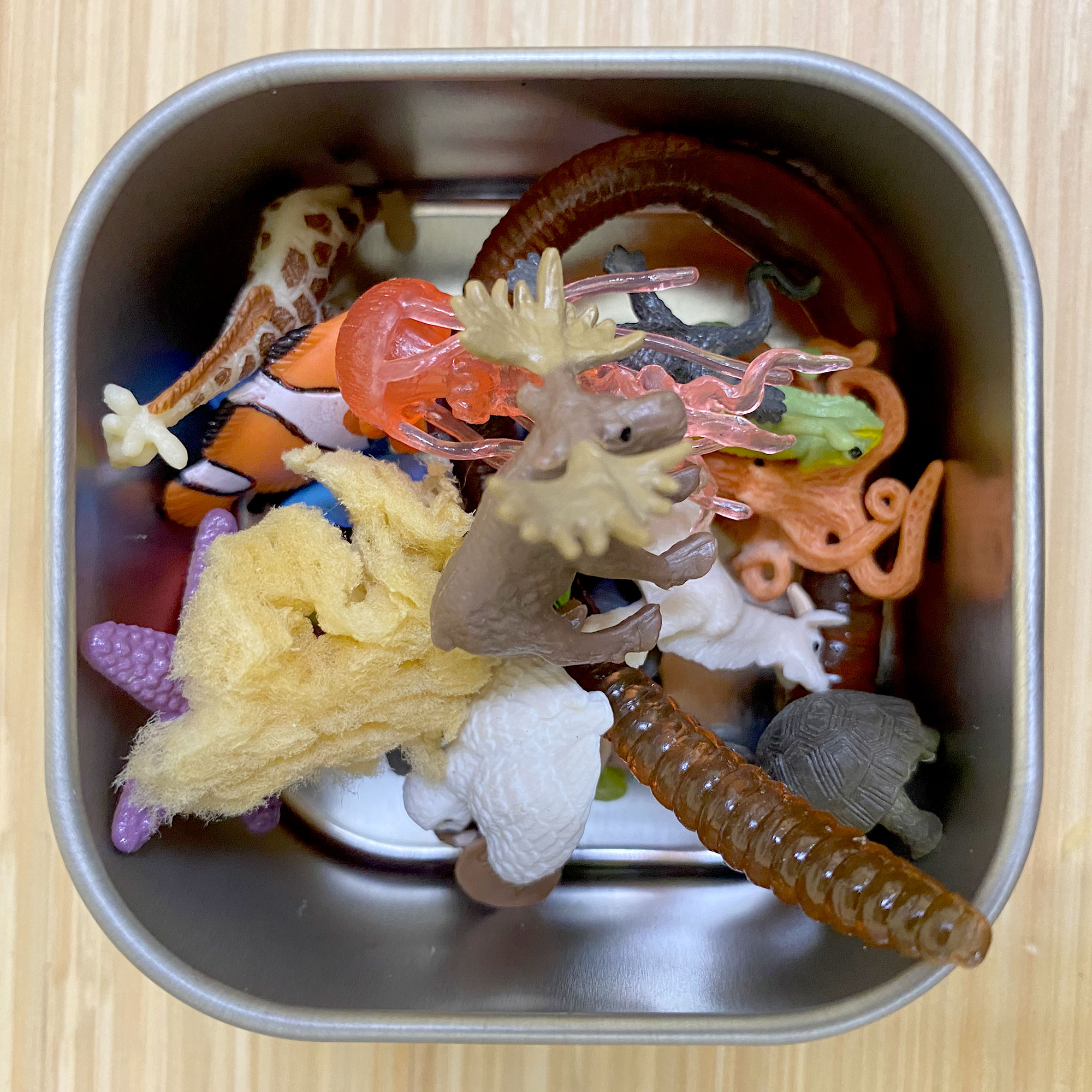 Taxonomy of Living Things: Introduction to Animals - Bundle - Image 3
