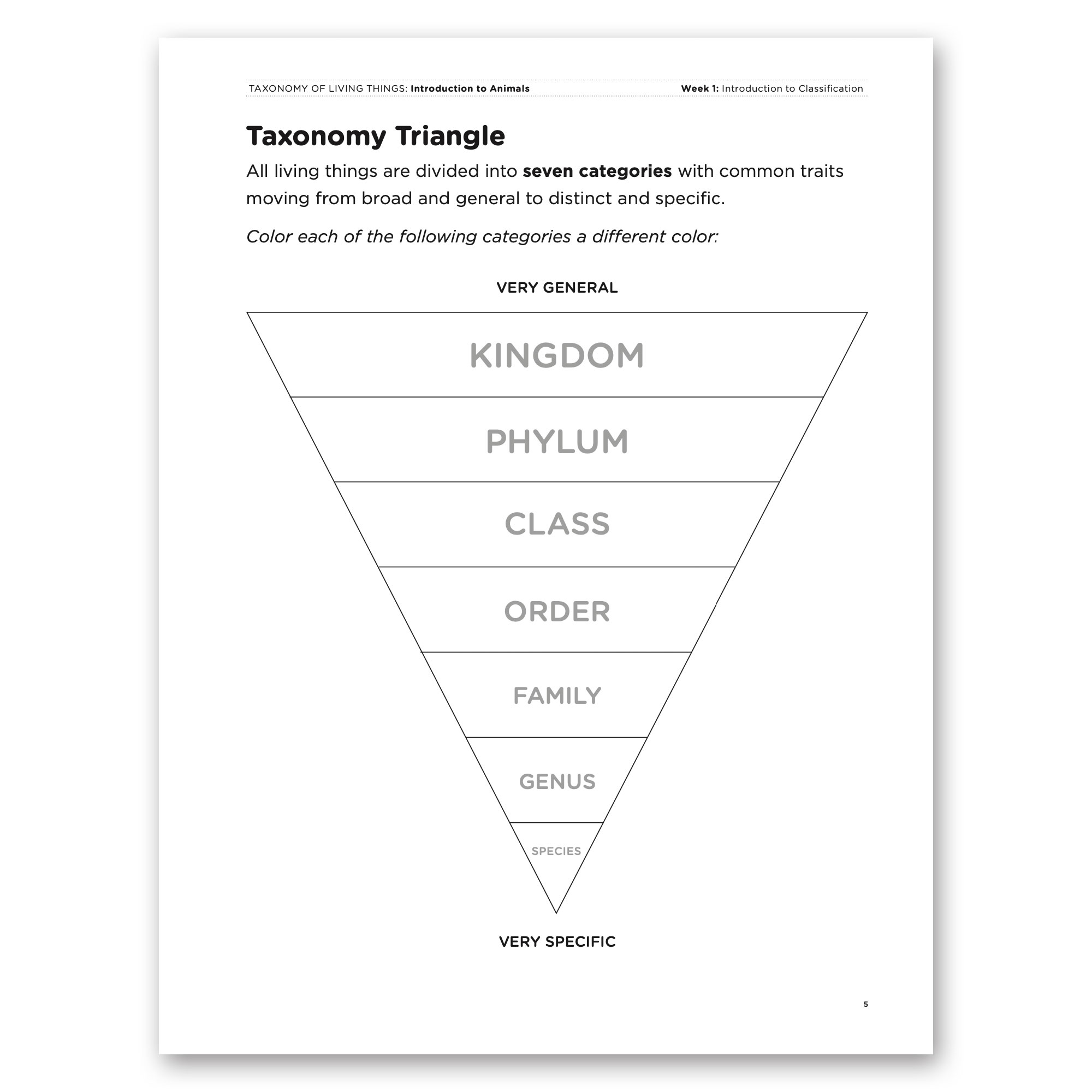 Taxonomy of Living Things: Introduction to Animals - Bundle - Image 13