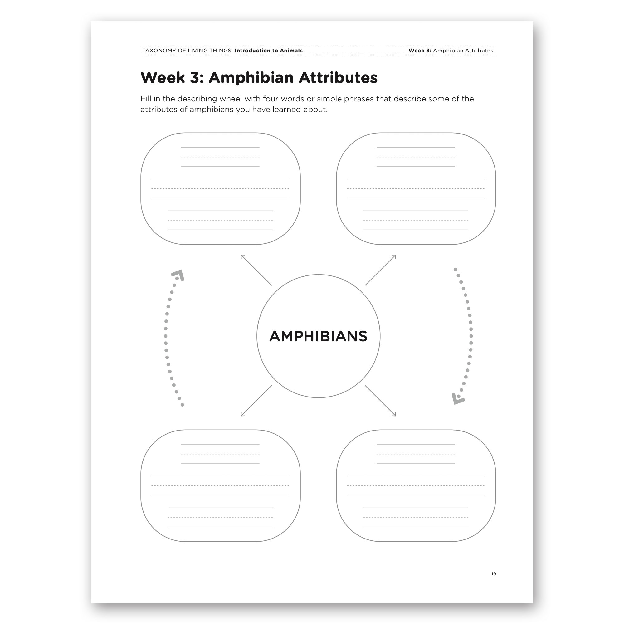 Taxonomy of Living Things: Introduction to Animals - Bundle - Image 15