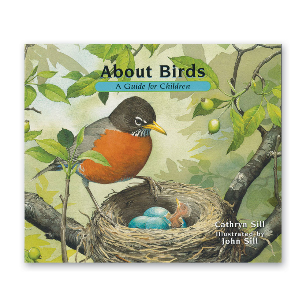 Taxonomy of Living Things: Introduction to Animals - Bundle - Image 9
