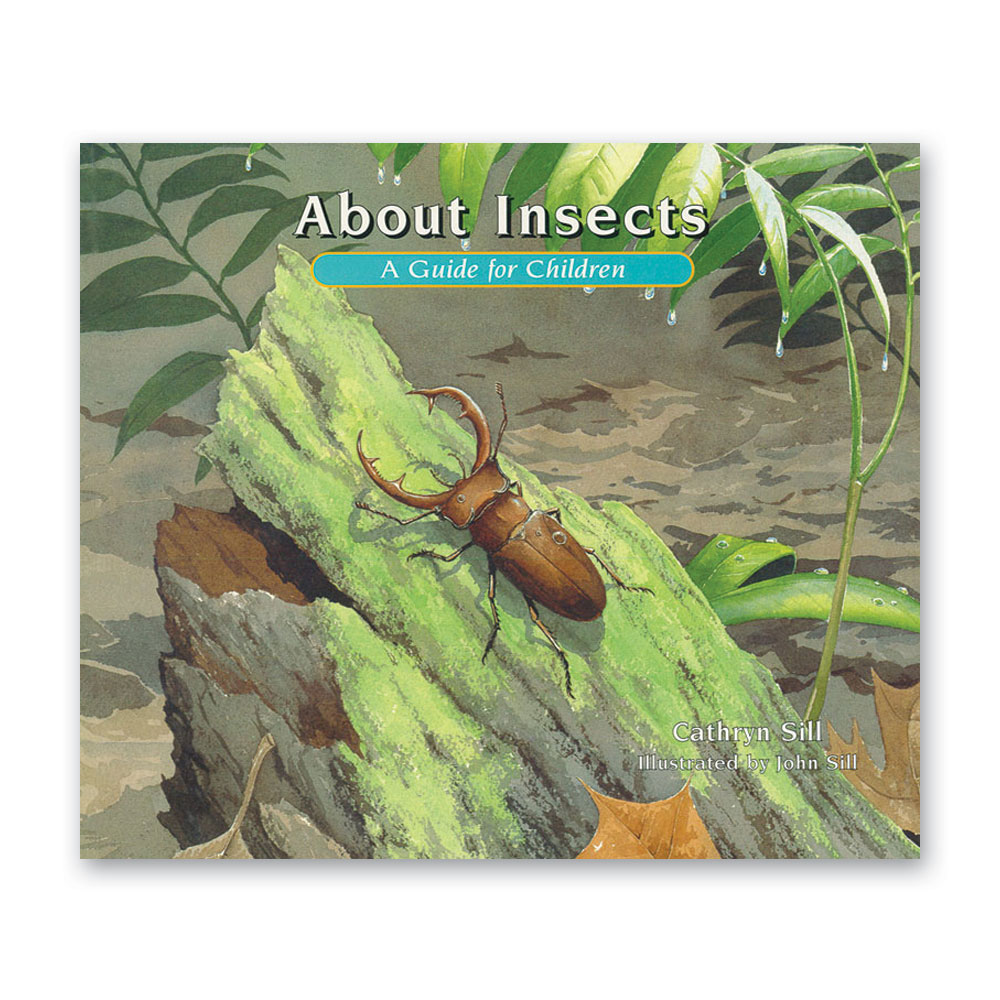 Taxonomy of Living Things: Introduction to Animals - Bundle - Image 7