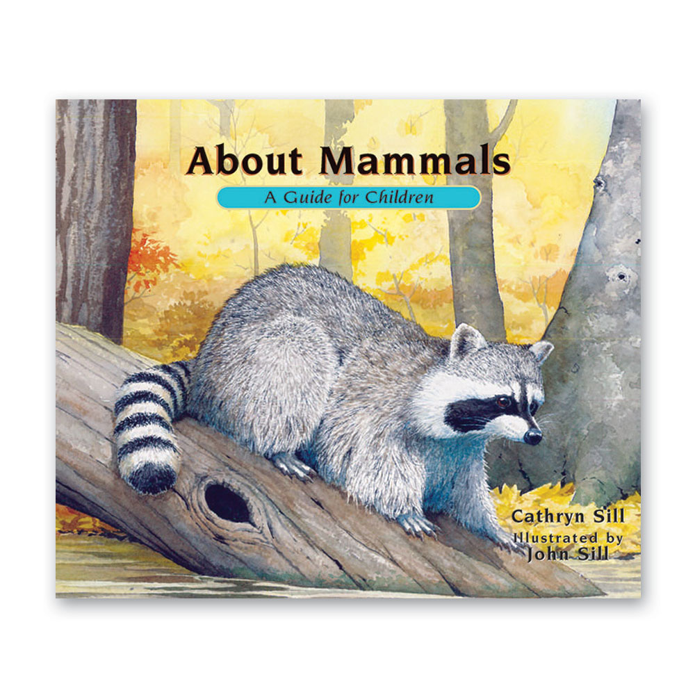 Taxonomy of Living Things: Introduction to Animals - Bundle - Image 6