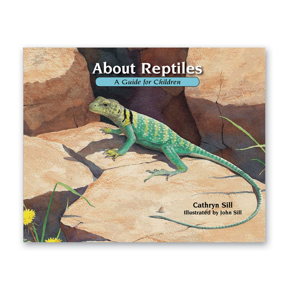 Taxonomy of Living Things: Introduction to Animals - Bundle - Image 5