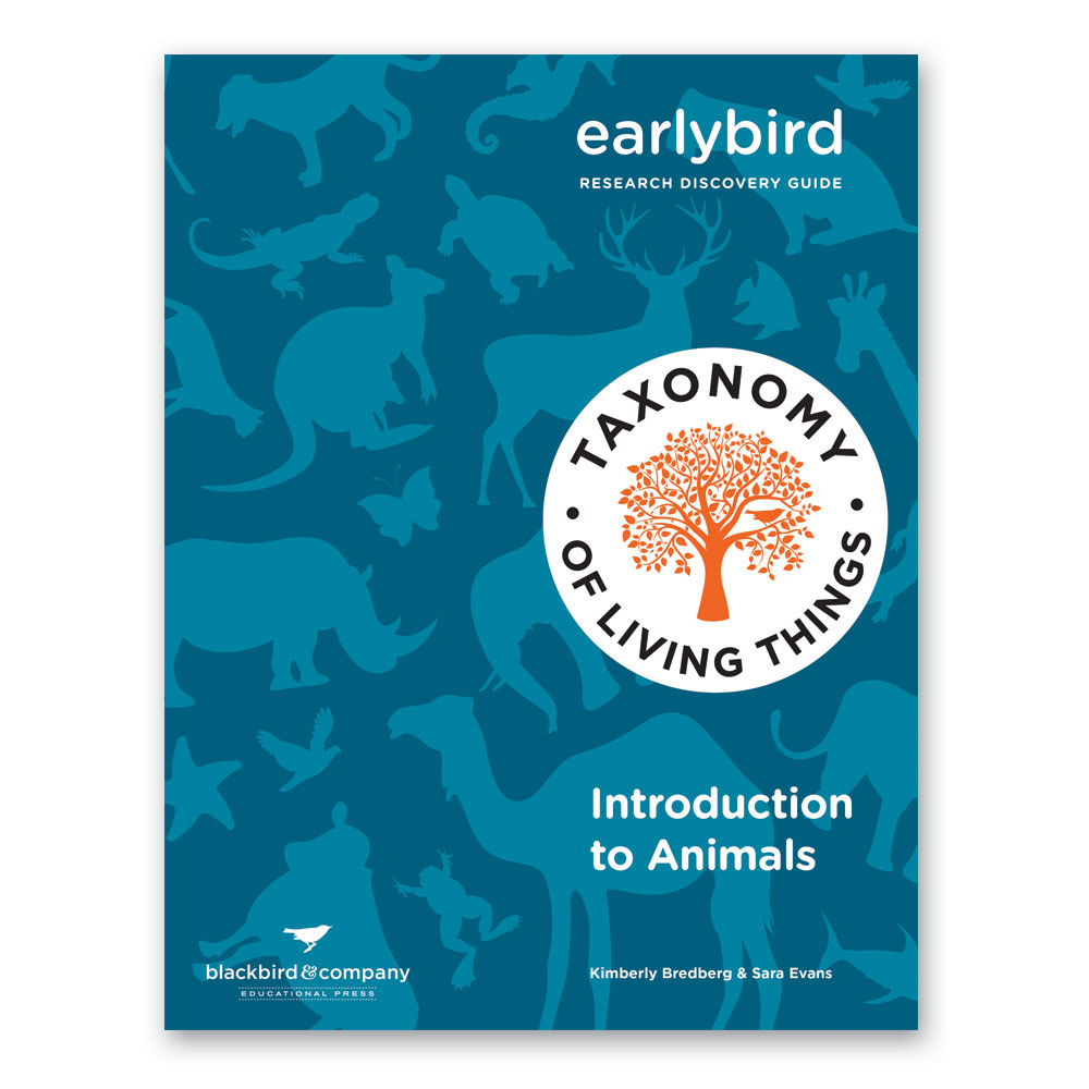 Intro to Animals