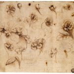 Learn with Leonardo