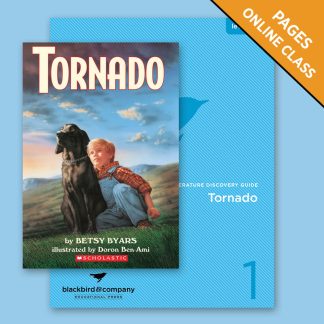 Class: Tornado