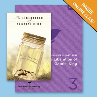 Class: The Liberation of Gabriel King