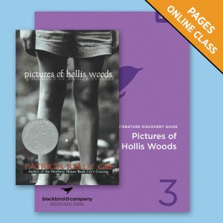 Class: Pictures of Hollis Woods