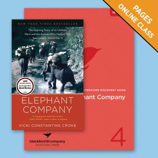 Class: Elephant Company