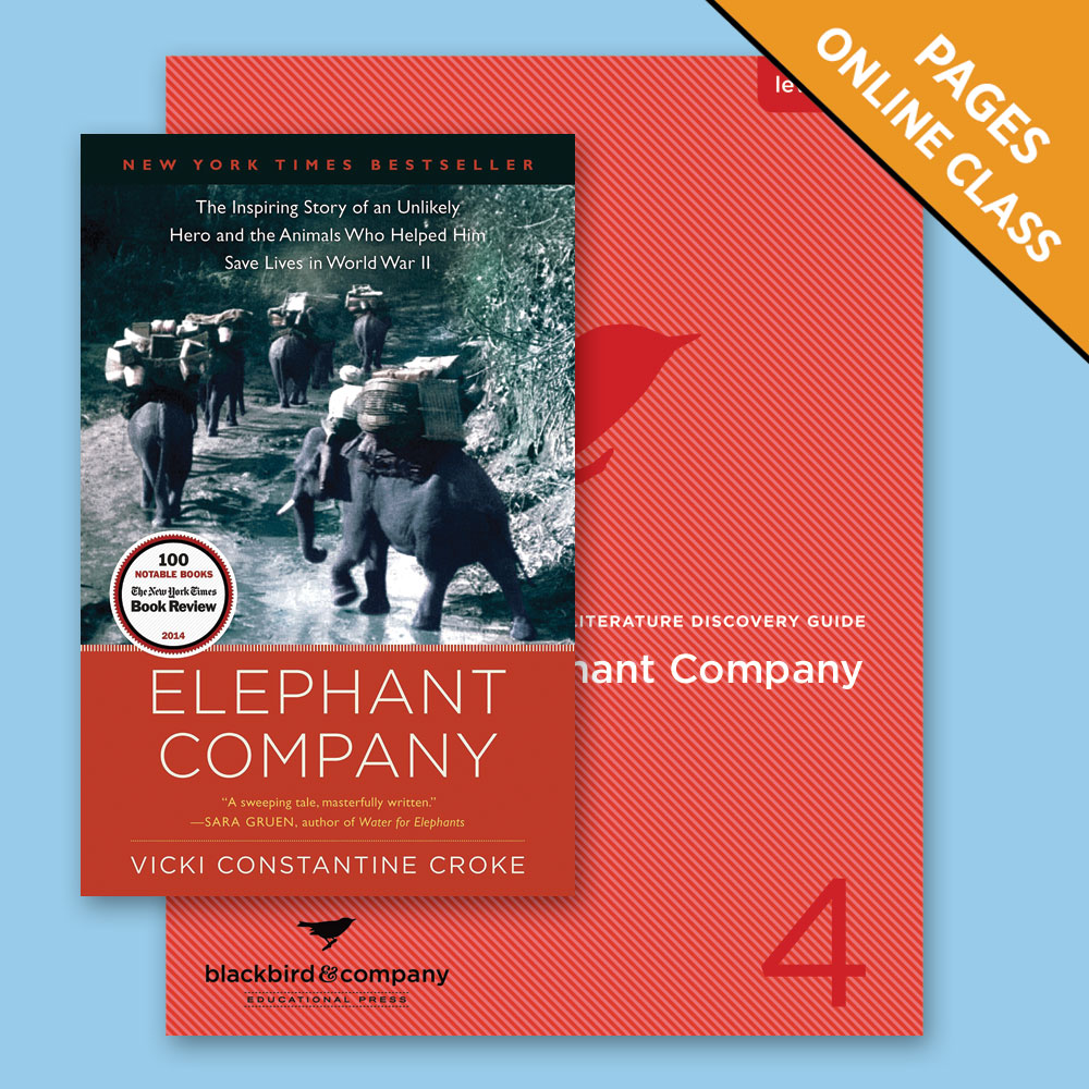 Class: Elephant Company