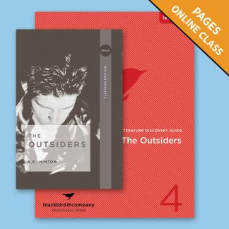 Class: The Outsiders
