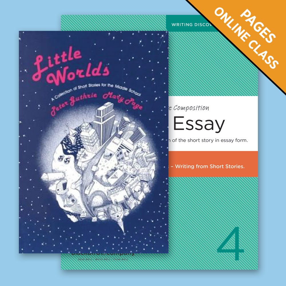 Class Continuation: Intermediate Composition, The Essay, Volume 4
