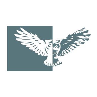 OFS-American Lit-Semester 2