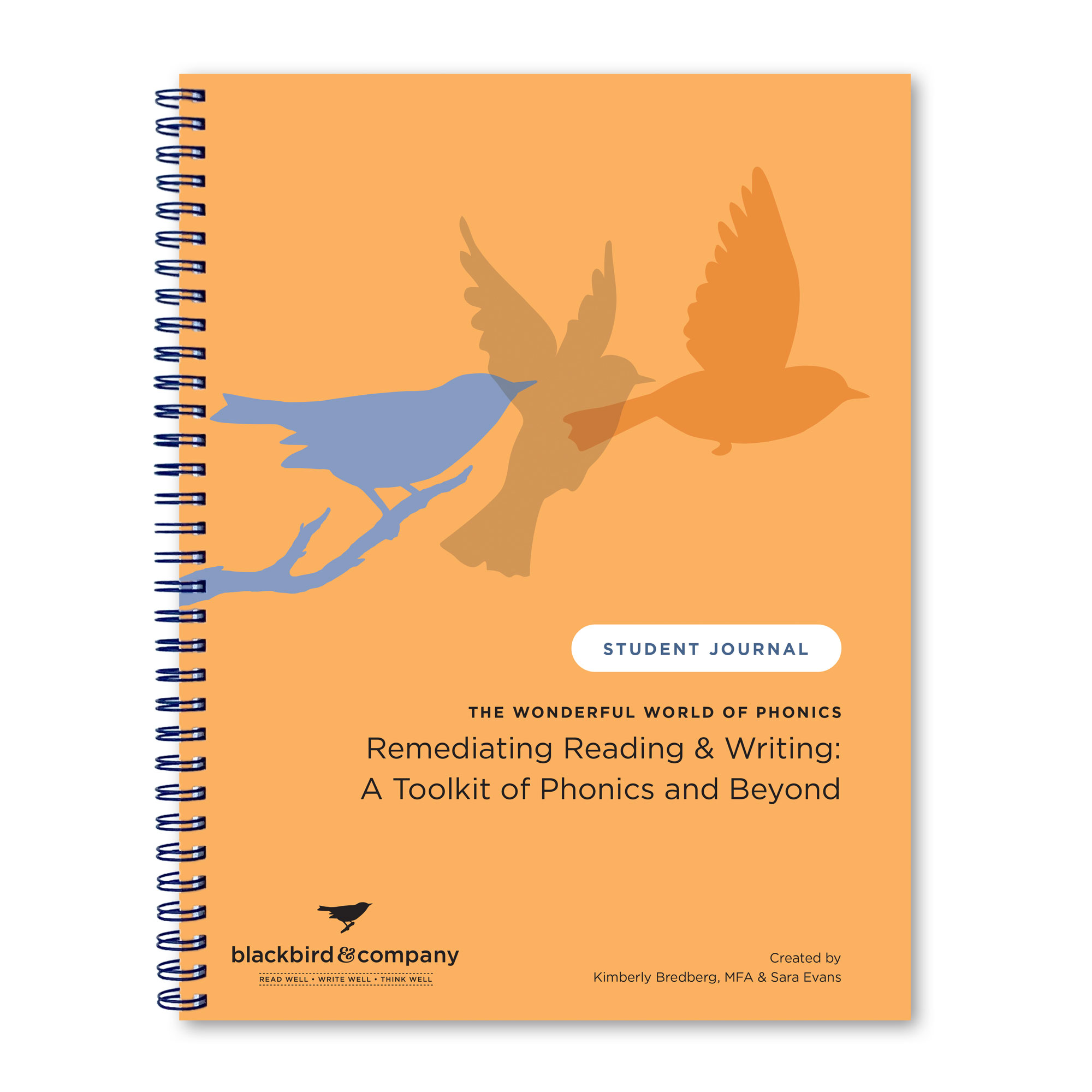 Remediating Reading & Writing - Bundle - Image 3