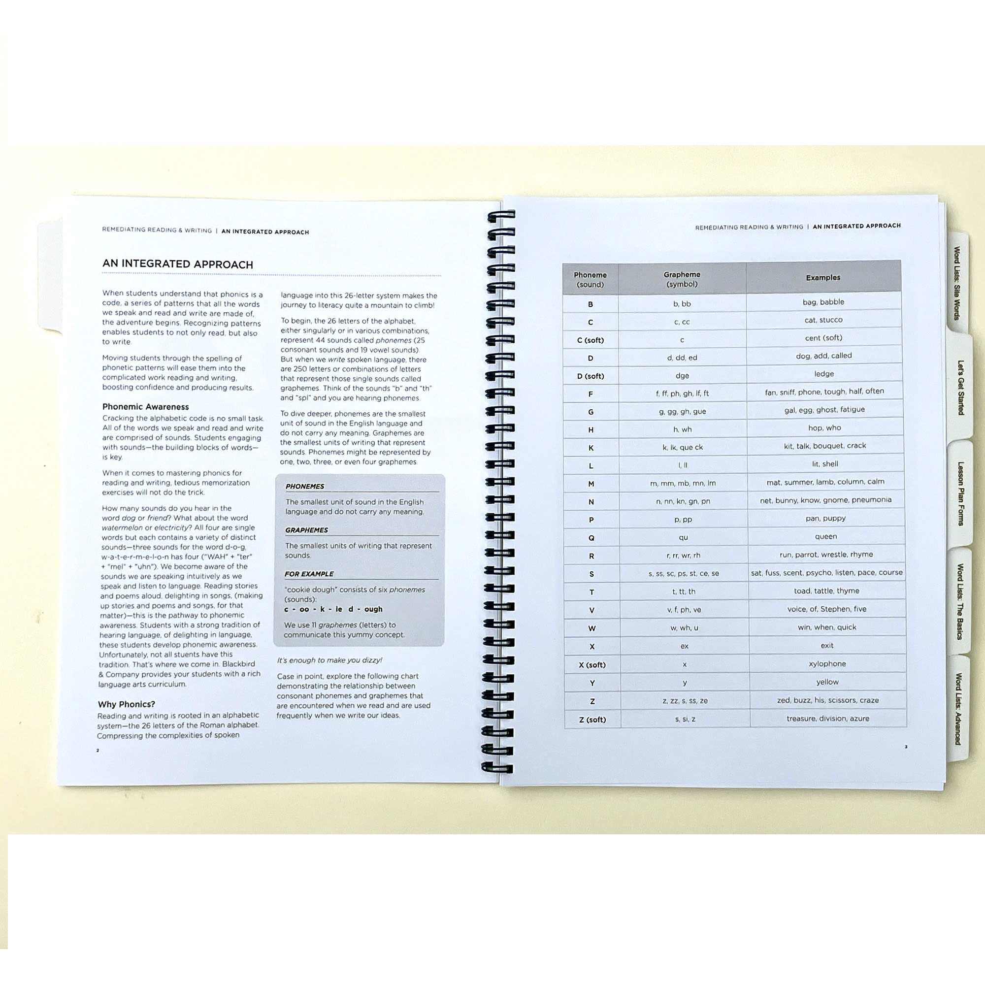 Remediating Reading & Writing - Bundle - Image 5