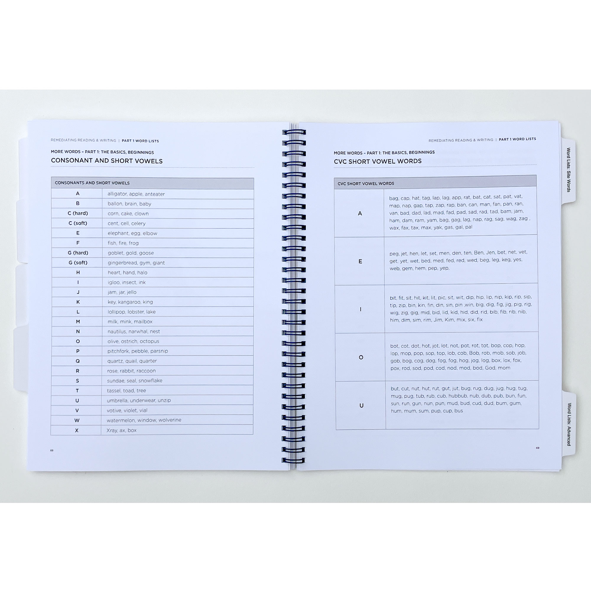 Remediating Reading & Writing - Bundle - Image 6