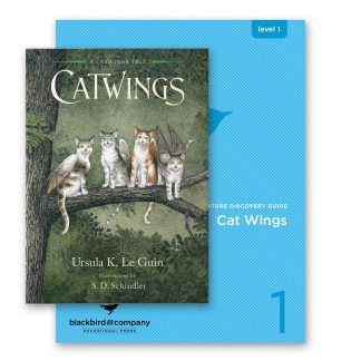 Catwings Bundle